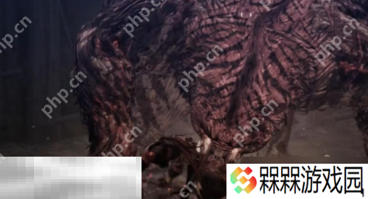 第一狂战士卡赞boss贝里乌斯怎么打 贝里乌斯打法攻略