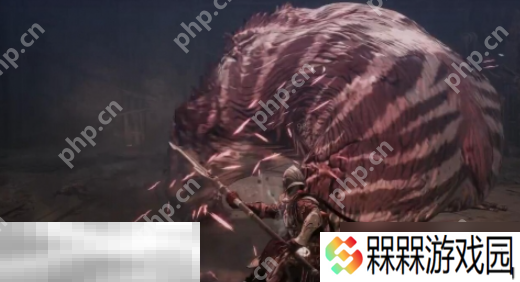 第一狂战士卡赞boss贝里乌斯怎么打 贝里乌斯打法攻略