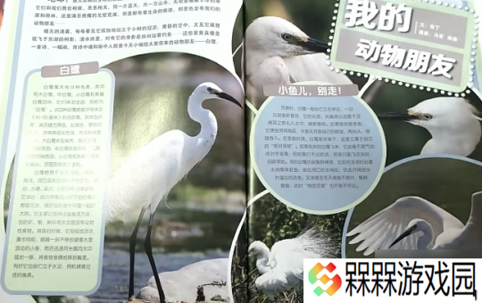 巅峰月销700万份的中国JUMP 还能打赢复活赛吗？