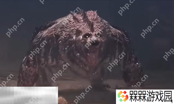 第一狂战士卡赞boss贝里乌斯怎么打 贝里乌斯打法攻略
