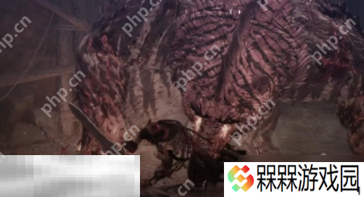第一狂战士卡赞boss贝里乌斯怎么打 贝里乌斯打法攻略