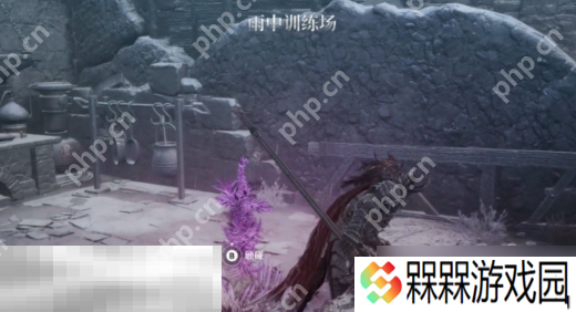 第一狂战士卡赞最后的讨伐章节攻略路线 全流程攻略