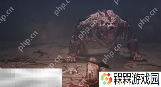 第一狂战士卡赞boss贝里乌斯怎么打 贝里乌斯打法攻略