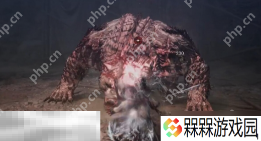 第一狂战士卡赞boss贝里乌斯怎么打 贝里乌斯打法攻略