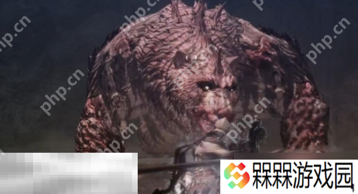 第一狂战士卡赞boss贝里乌斯怎么打 贝里乌斯打法攻略