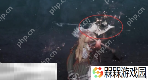 第一狂战士卡赞boss贝雷里安怎么打 贝雷里安打法攻略
