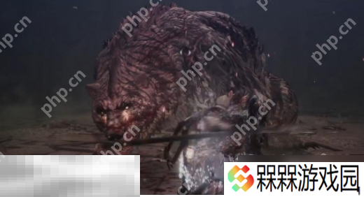 第一狂战士卡赞boss贝里乌斯怎么打 贝里乌斯打法攻略