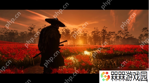 对马岛之魂壹岐岛血源在哪里介绍