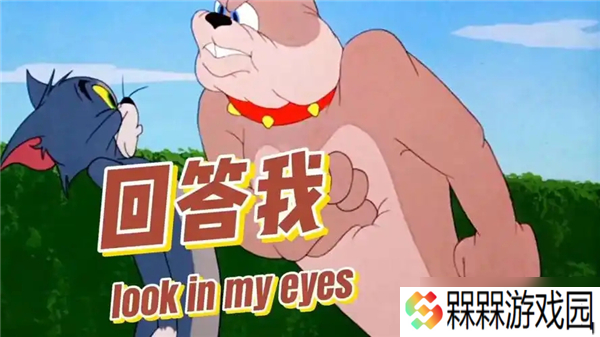 回答我lookinmyeyes梗讲解
