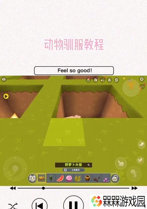 在《迷你世界》中驯服战斗机鸡的方法是什么？步骤详解？