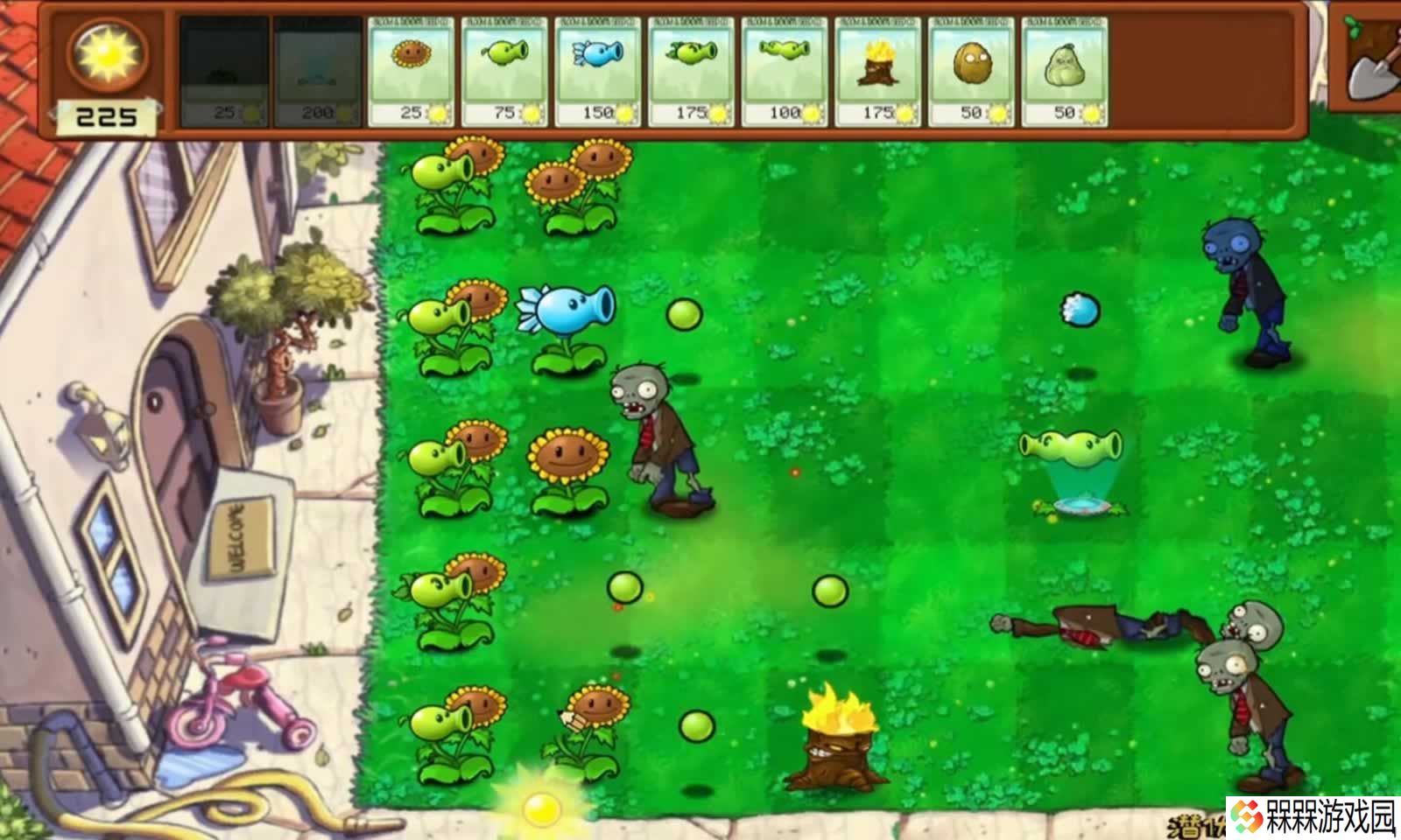 植物大战僵尸拼接版