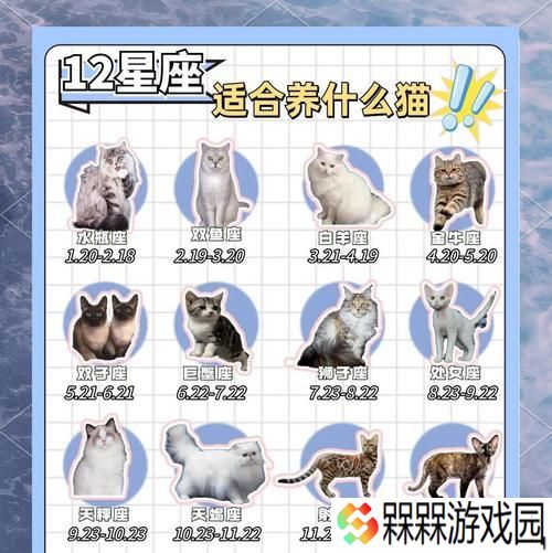 完美猫配置方法是什么？如何达到完美？