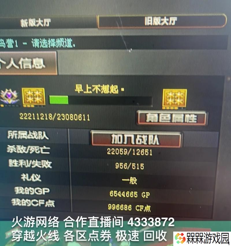 穿越火线合区后遇到问题如何解决？有哪些解决方案？