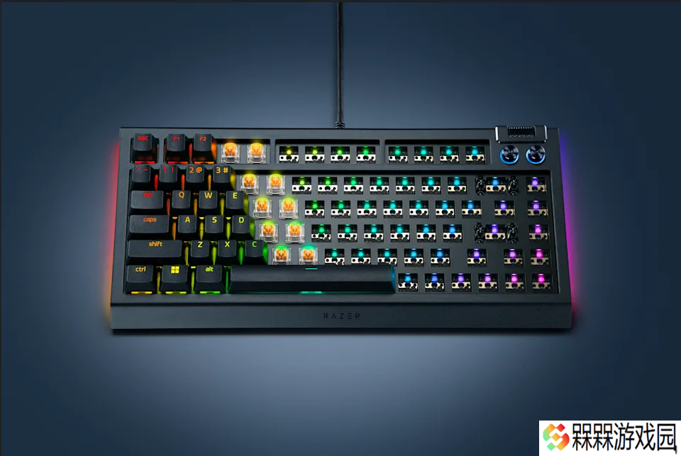 雷蛇发布黑寡妇 V4 75% Barebones“裸版”机械键盘：专为 DIY 玩家打造，140 美元起
