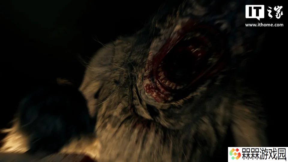 《生化危机：安魂曲》支持第一人称视角和第三人称视角自由切换，明年 2 月 27 日发售