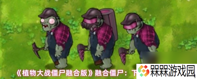 《植物大战僵尸融合版》融合僵尸 下界合金钻僵尸