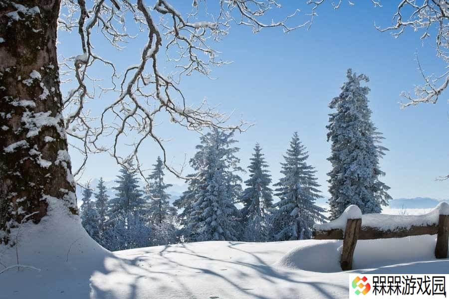 构建高可用服务器架构：保障业务连续性的关键策略