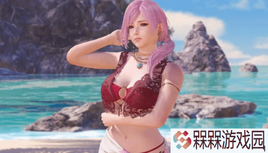欧美玩家的热情震惊《死或生：维纳斯璀璨假期》制作人：明明没在西方正式发行