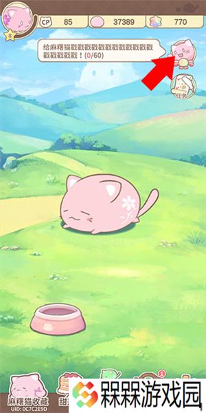麻薯猫收藏