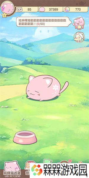 麻薯猫收藏