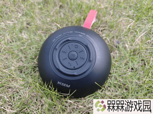 2025蓝牙音箱精选指南：五款音质卓越性价比高的蓝牙音箱推荐