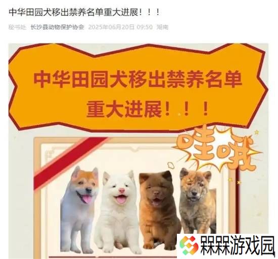 极乐软件园