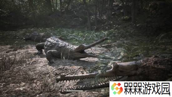 极乐软件园