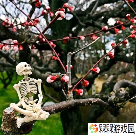 极乐软件园