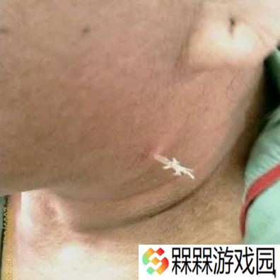 极乐软件园