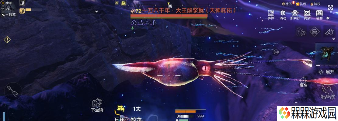 探寻神秘海底世界（水中奇遇！畅游海底）