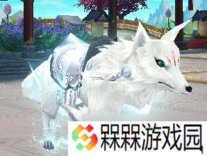 探寻神秘海底世界 水中奇遇 畅游海底