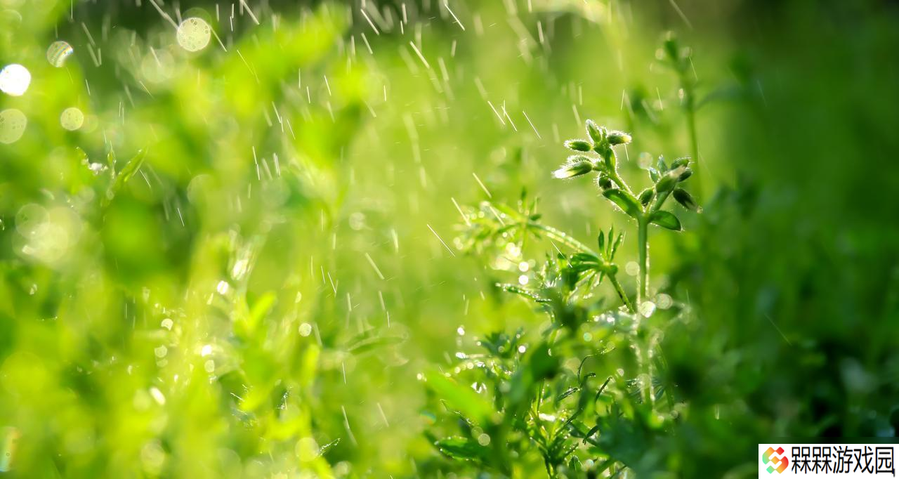 今天中伏，老人说：“最怕中伏一日雨”，中伏雨天好还是晴天好？