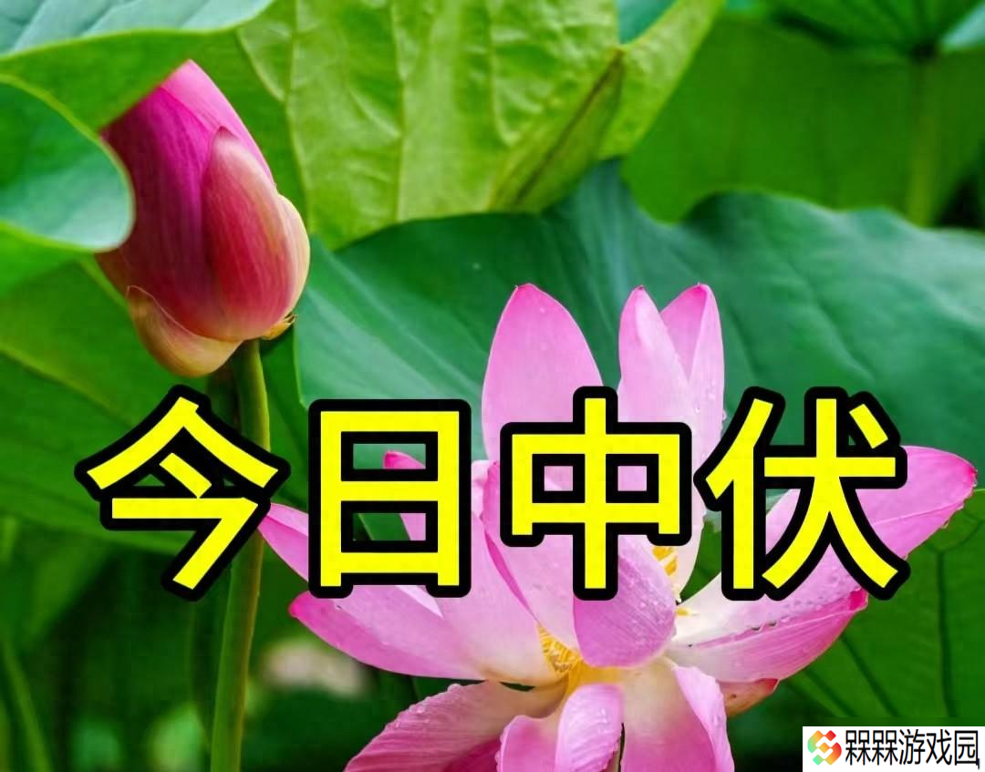 今天中伏，老人说 “最怕中伏一日雨”，中伏雨天好还是晴天好