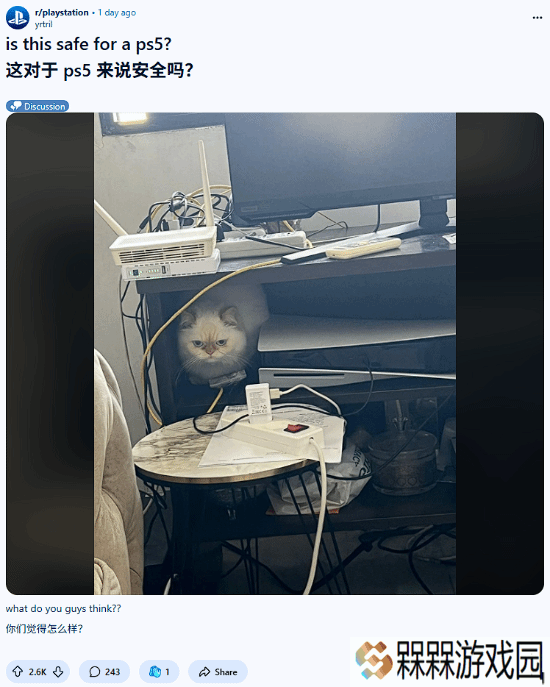外网热议：萌猫霸座PS5 网友们操碎了心
