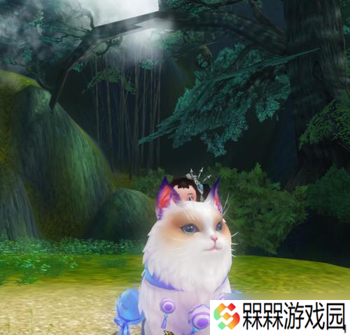 寻仙粉猫儿的获取方法是什么 粉猫儿对角色有何帮助