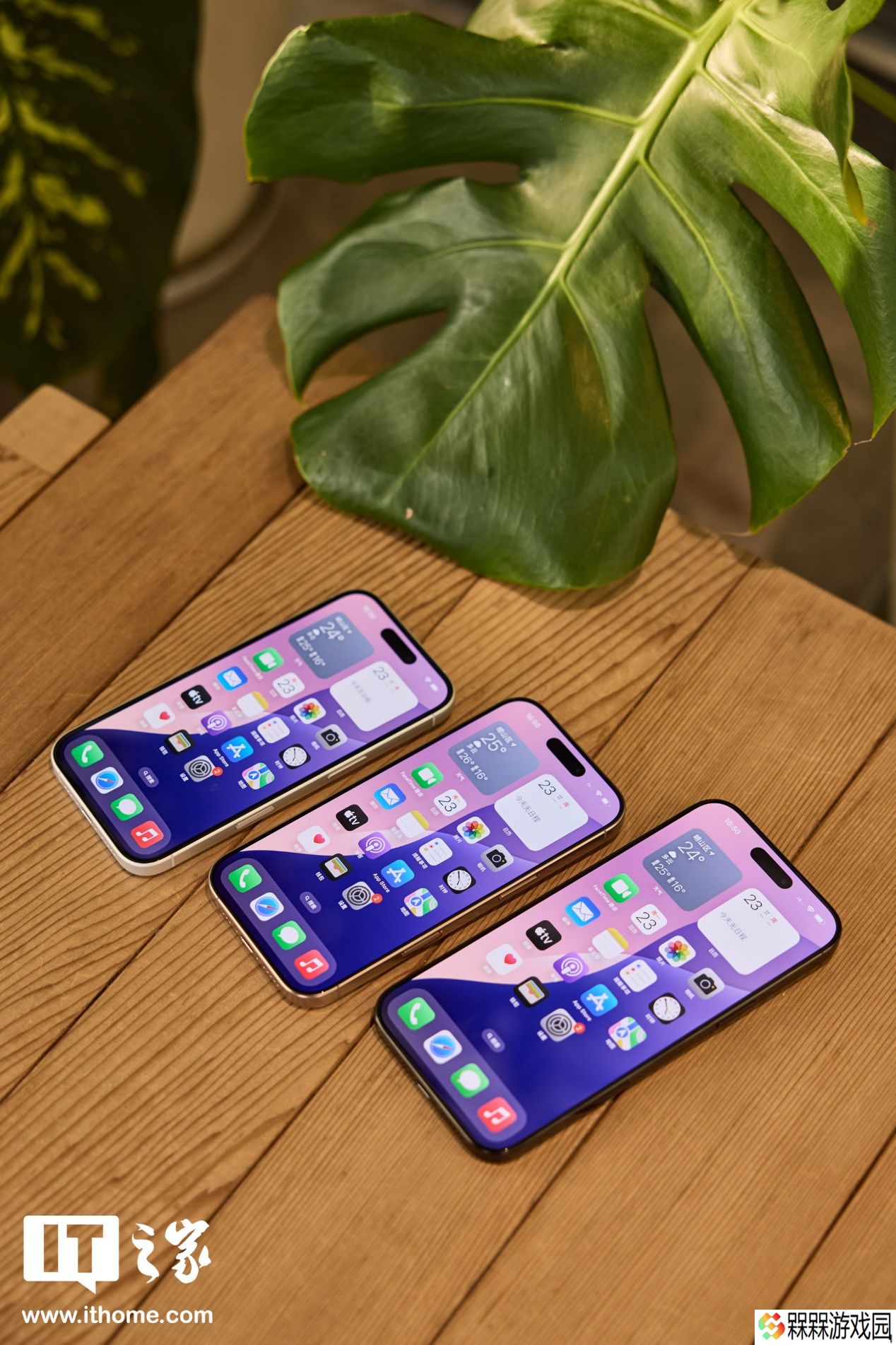 古尔曼：苹果短期内不会在美国生产 iPhone，库克也承认将长期在海外组装