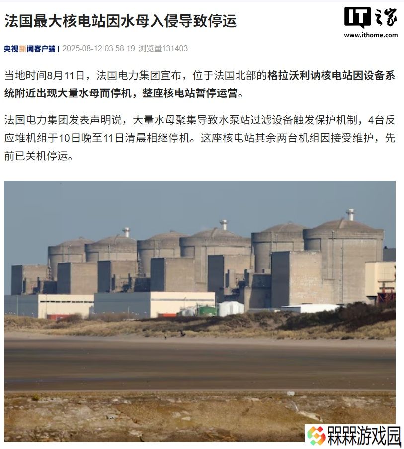 法国最大核电站因水母入侵导致暂停运营