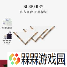 巴宝莉经典手帕价格，奢华品质触手可及