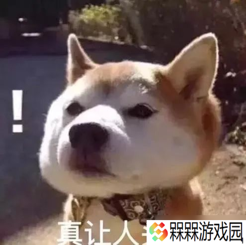 《三国：谋定天下》举荐武将全改动数据，贾诩碰瓷流彻底消失，张梁成为张宁最强助力