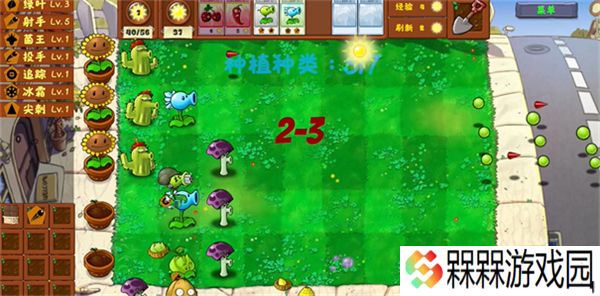 植物大战僵尸金铲铲版