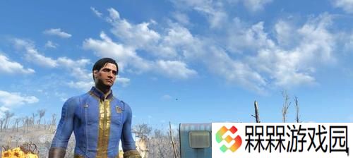 辐射4避难所手枪获取方法是什么？如何在避难所中找到手枪？