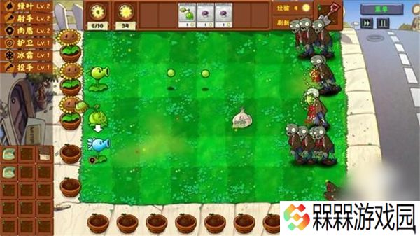 pvz金铲铲版