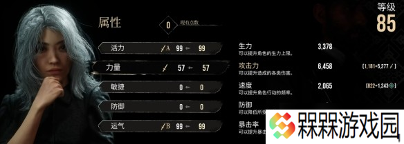 光与影33号远征队角色加点选择建议-33号远征队怎么加点