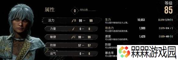 光与影33号远征队角色加点选择建议-33号远征队怎么加点