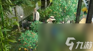 云族裔inzoi健身技能是什么