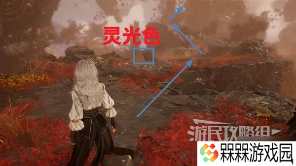 《光与影33号远征队》面刺获取方法 面刺怎么获得