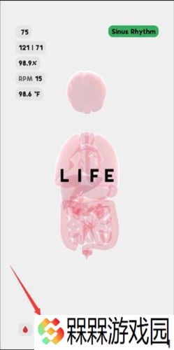 生命life