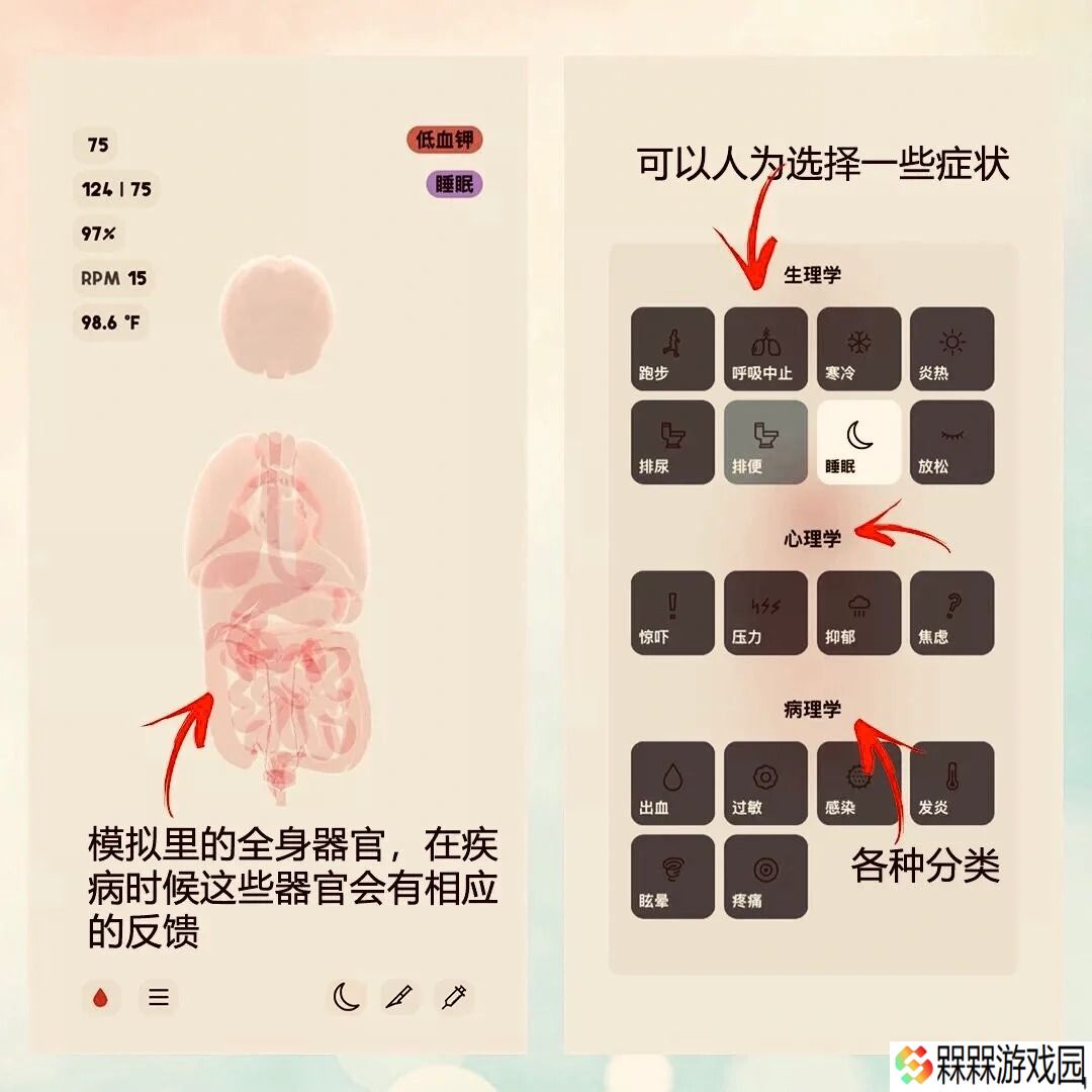 生命life