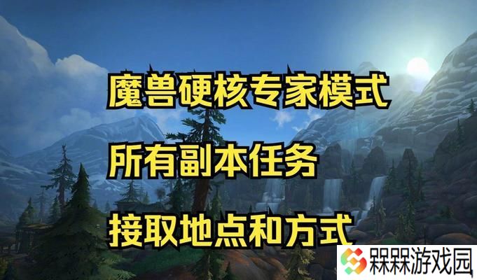 专家模式下魔兽世界副本如何攻略？