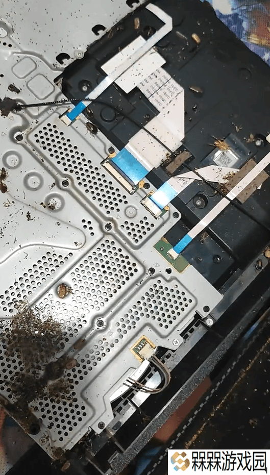 重口慎入！PS4变蟑螂豪宅：网友拆机瞬间上演小强蹦迪